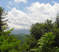 100 Elm, Lot 30 Thumbnail